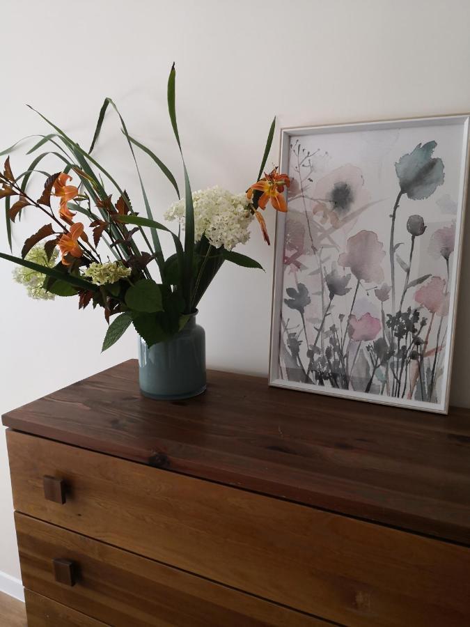 Apartament Przy Starowce Sandomierz Esterno foto